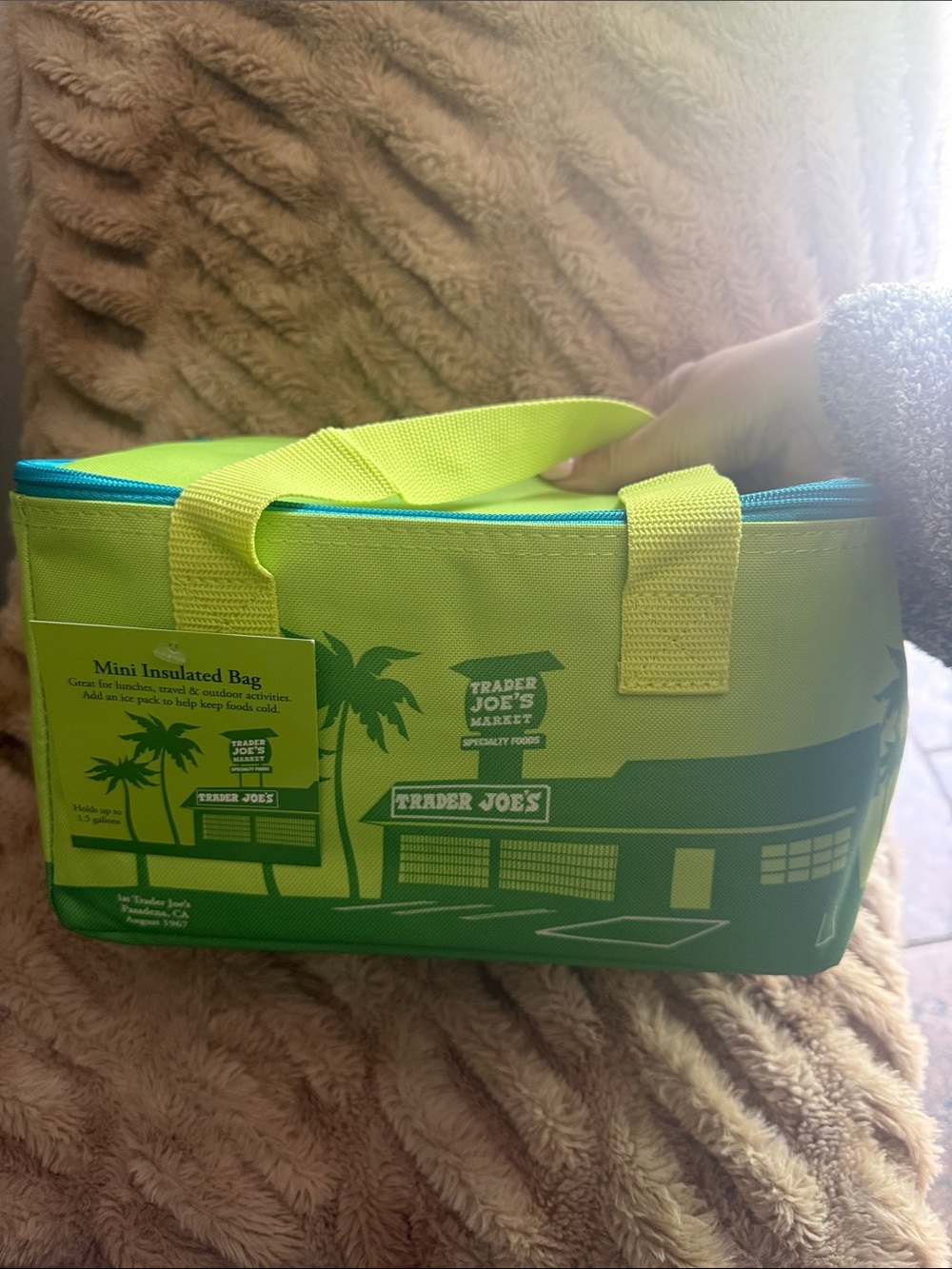Trader Joe's Green Mini Insulated Bag